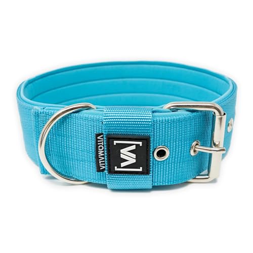 VITOMALIA® 3cm Breites Hundehalsband, Abstehende Neopren-Innenfütterung, Silberfarbene Edelstahl-Dornschnalle, Hundehalsband kleine Hunde (3cm/M = 40cm-50cm, Türkis) von Vitomalia