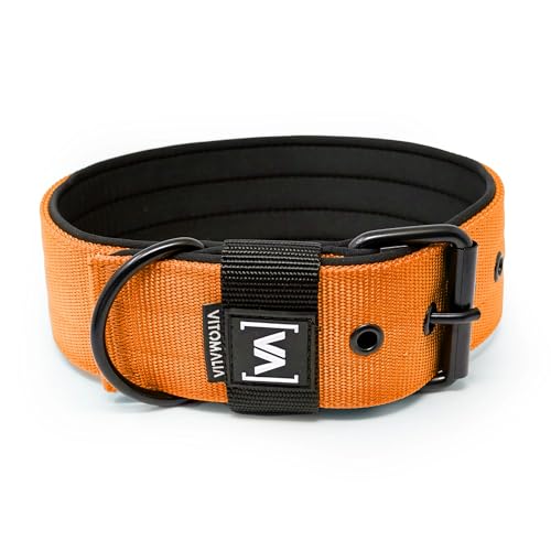VITOMALIA® 4cm Breites Hundehalsband mit abstehender Neopren-Innenfütterung für Hunde, Schwarze Edelstahl-Dornschnalle, Hundehalsband mittelgroße Hunde (4cm/L = 45cm-55cm, Orange) von Vitomalia