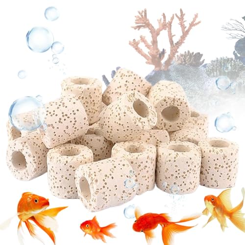 Aquariumpflanzengewichte - -Topf -Basis, Wurzelhalterungen | Wasserpflanzen -Sinker Klemmringe, Unterwasserstärke Für Fischtankanbau, Schildkrötenbepflanzungsdekor Und von Vitsrisea