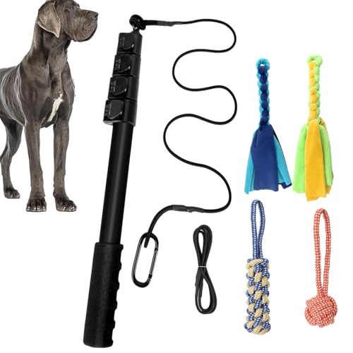 Flirtenstange Für Hunde - Ausziehbarer Haustier -Teaser -Stick, Langlebiger Hundestab Spielzeug | Hundejagd-Rod-Trainer, Tauziehen-Kriegs-Agility-Werkzeug, Reaktionsanreicherungsspielzeug Für Tägliche Flirtenstange Für Hunde - Ausziehbarer Haustier -Teaser -Stick, Langlebiger Hundestab Spielzeug | Hundejagd-Rod-Trainer, Tauziehen-Kriegs-Agility-Werkzeug, Reaktionsanreicherungsspielzeug Für Tägliche von Vitsrisea