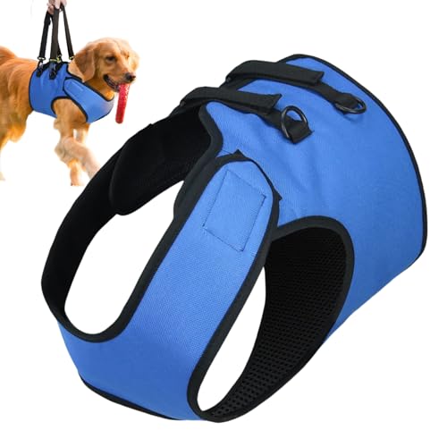 Hundeaufzugsgurt - Verstellbare Hundetreppenstütze, Vorderbein -Wanderschlinge | Mobilitätshilfe-Genesung Schlinge, Welpenliftgürtel, Tiertreppenhelfer Für Ältere Hunde, Erholung Von Verletzungen Oder Hundeaufzugsgurt - Verstellbare Hundetreppenstütze, Vorderbein -Wanderschlinge | Mobilitätshilfe-Genesung Schlinge, Welpenliftgürtel, Tiertreppenhelfer Für Ältere Hunde, Erholung Von Verletzungen Oder von Vitsrisea