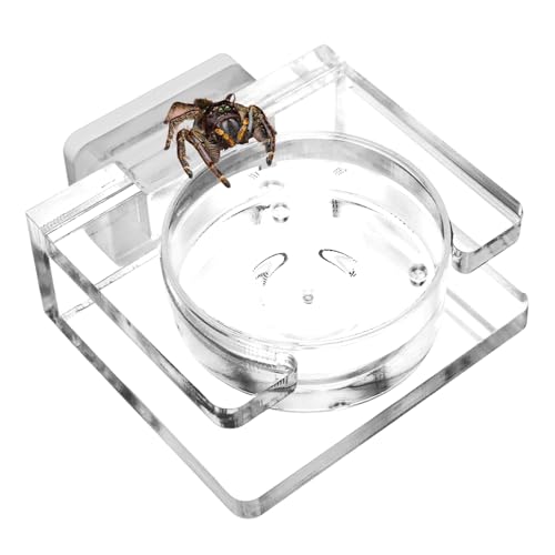 Sprungspinnen -Fütterungsschale - Kompaktes Spinnenschale, Plastik -Fütterungstasse | Magnet-Rücken-Lebensmittelschale, Transparente Acryl-Feeder-Gericht, Lebensraumschale Für Terrarium-Haustiere, Rep Sprungspinnen -Fütterungsschale - Kompaktes Spinnenschale, Plastik -Fütterungstasse | Magnet-Rücken-Lebensmittelschale, Transparente Acryl-Feeder-Gericht, Lebensraumschale Für Terrarium-Haustiere, Rep von Vitsrisea