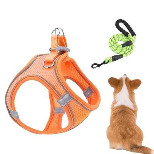 Vitsrisea Hundegeschirr Und Leinen | Mesh Geschirr und Hundeleinen Kombination,Anpassbare Weste Für Autofahren Nachtspaziergänge Wanderungen Training von Vitsrisea
