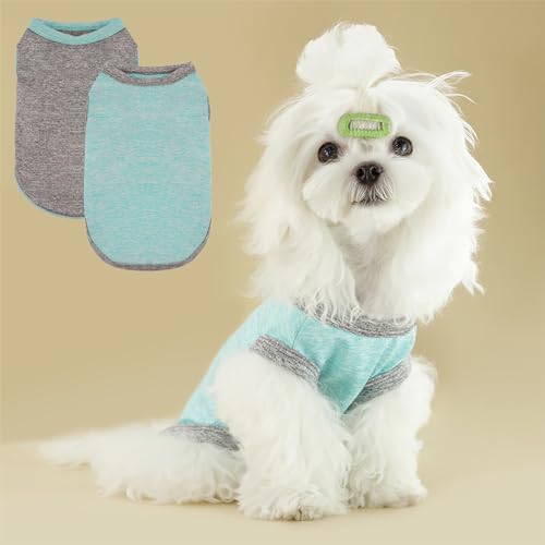 2-Pack Schnell trocknendes Hunde-Shirt, leichte atmungsaktive Netz-Hundebekleidung für kleine Hunde Jungen, Sonnenschutz ärmellose Shirts für Hund&Katze Welpenweste Haustierbekleidung, Grau+Blau, S 2-Pack Schnell trocknendes Hunde-Shirt, leichte atmungsaktive Netz-Hundebekleidung für kleine Hunde Jungen, Sonnenschutz ärmellose Shirts für Hund&Katze Welpenweste Haustierbekleidung, Grau+Blau, S von Vivi Bear