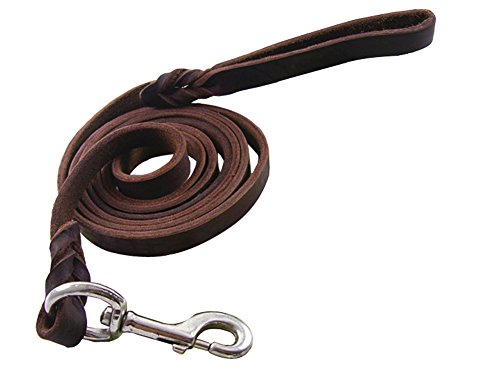 Vivi Bär geflochten aus echtem Leder Hundeleine für große/medium Hunde Hunde-K9 Verhalten Training Leine Seil 1,3 cm Breite, 8,5/6,9/5,2/Sandsackset Lange Dunkle Braun von Vivi Bear