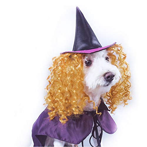 Vivi Bear Dog Witch Cloak Pet Costume Hat With Gold Curly Hairs Comfortable for Party Activity, Halloween, Christmas Holidays von Vivi Bear