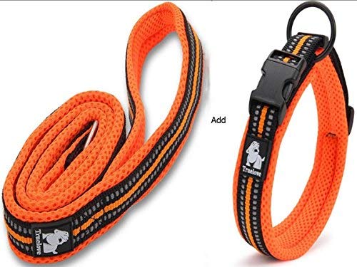Vivi Bear Hundehalsband und Leine, gepolstert, weich, atmungsaktiv, Netz-Hundehalsband mit reflektierenden 3M-Nachtstreifen, verstellbares Halsband fü von Vivi Bear