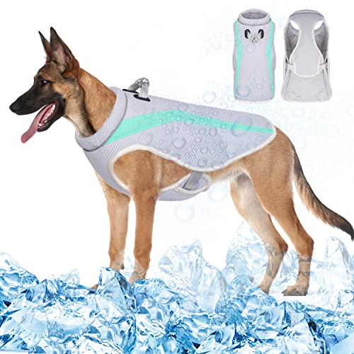 Vivi Bear Kühlweste für Haustiere mit Geschirr für den Sommer, Eiskühlmantel für Hunde,Klein,Mittelgroß,kühlende Jacke,Reflektierende Sicherheitsweste für Hunde,Spazierengehen,im Freien (Grün, L) Vivi Bear Kühlweste für Haustiere mit Geschirr für den Sommer, Eiskühlmantel für Hunde,Klein,Mittelgroß,kühlende Jacke,Reflektierende Sicherheitsweste für Hunde,Spazierengehen,im Freien (Grün, L) von Vivi Bear