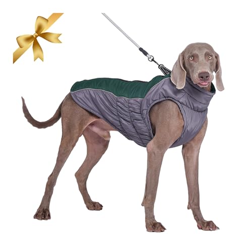 Winter Hundejacke Warmer Hundemantel Kuschelige Verstellbare Hunde Bekleidung Winddichter Wasserdichter Reflektierende Hundeweste Skibekleidung mit D-Ring Outfit für Mittlere Große Hunde Draussen,Grün von Vivi Bear