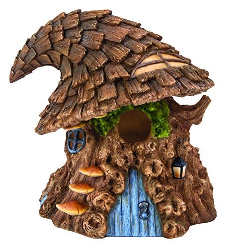 Hexenhut Baum Vogelhaus Hexenhut Baum Vogelhaus von Vivid Arts