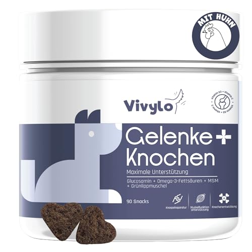 Joint and Bone Supplement 270g (Shape: Bone, Flavor: Chicken.) [90 Chews] von Vivylo