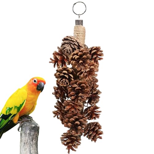 Vjeybv Vogel-Kauspielzeug – Vogelspielzeug mit Tannenzapfen, hängbares Vogel-Zerkleinerungsspielzeug, lustiges Papageienspielzeug, für Sittiche, Nymphensittiche, Sittiche, Sittiche, Küken, Vjeybv Vogel-Kauspielzeug – Vogelspielzeug mit Tannenzapfen, hängbares Vogel-Zerkleinerungsspielzeug, lustiges Papageienspielzeug, für Sittiche, Nymphensittiche, Sittiche, Sittiche, Küken, von Vjeybv