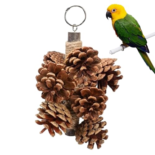 Vjeybv Vogelfutterspielzeug, natürliches Vogelspielzeug mit Tannenzapfen, hängbares Vogelschredderspielzeug, lustiges Papageienspielzeug, für Sittiche, Nymphensittiche, Sittiche, Sittiche, Küken, Vjeybv Vogelfutterspielzeug, natürliches Vogelspielzeug mit Tannenzapfen, hängbares Vogelschredderspielzeug, lustiges Papageienspielzeug, für Sittiche, Nymphensittiche, Sittiche, Sittiche, Küken, von Vjeybv