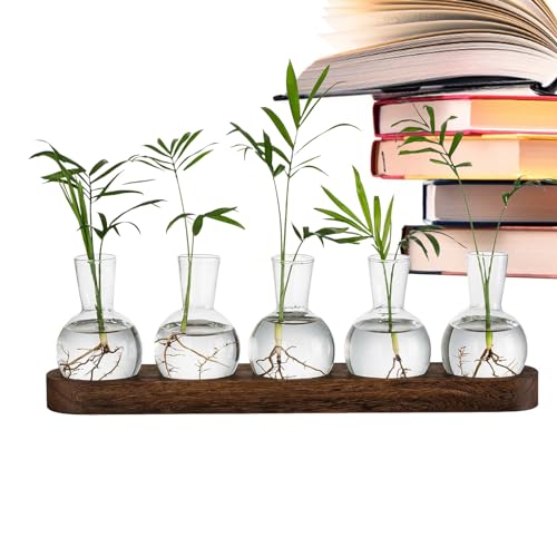Glas-Terrarien für Pflanzen – Hydrokultur-Vasen für Zimmerpflanzen, Hydrokulturvase, Vintage-Desktop-Pflanzgefäß, Wasserpflanzen-Anzuchtstationen, Heimdekoration Vllold von Vllold