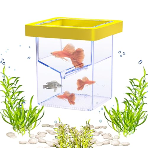 Vllold Fischzuchtbox, schwimmende Fisch-Isolations-Zuchtbox, Saugnapf-Schlüpfbehälter, Aquarium-Akklimatisierungsbrutkasten für Baby- und Guppy von Vllold