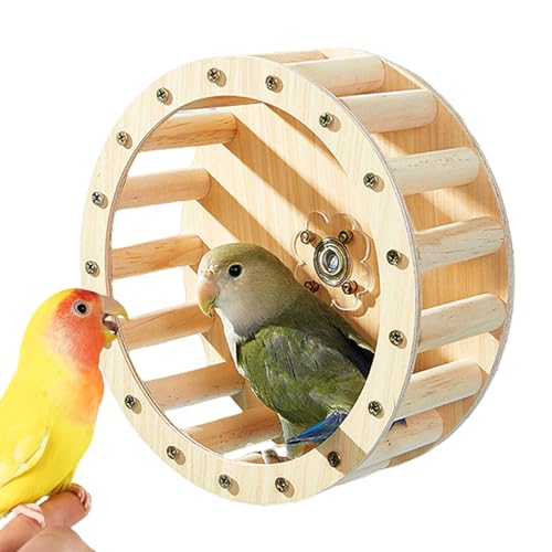 Vllold Vögel Laufrad Übungsspielzeug | Vogel-Drehbare Sitzstange Spielzeug – Holzsittiche Käfig Zubehör, Trainingsbedarf für Conures Lovebird Intelligenz Wachstum Vllold Vögel Laufrad Übungsspielzeug | Vogel-Drehbare Sitzstange Spielzeug – Holzsittiche Käfig Zubehör, Trainingsbedarf für Conures Lovebird Intelligenz Wachstum von Vllold
