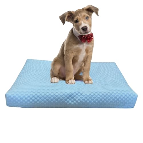 Vllold Waschbarer Bezug für Hundebett, kühlendes Hundebett, maschinenwaschbar, Schutzdecke für Haustierbett, Möbel, Couch, drinnen und draußen von Vllold