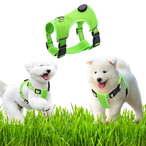 Hundeleine, leuchtend, Grün und 3 Lichteffekte für ultimative Sicherheit, erhältlich in 3 Größen (S, M, L) von Vlue Pet