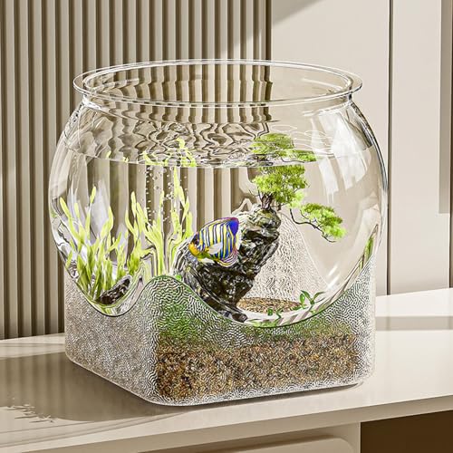 Aquarium, Betta-Fischtank, PET-Fischschale, unzerbrechlicher , transparenter Schildkrötenbehälter, Schüsselvase, kleines Desktop-Aquarium für Betta-Schildkröten von Vmiorzq