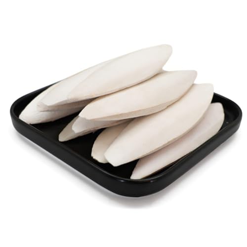 Cuttlebone für Vögel, natürlicher Tintenfischknochen für , Käfige, Vögel, Kauspielzeug, Haustiernahrungsbedarf, Kuschelknochen, Schildkröten, , Hamster von Vmiorzq