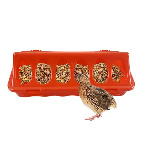 Hühnerfutterstation Tablett, Hühnerstall Futterspender für Hühner, Tablett, Ausrüstungsschale mit Löchern für Bauernhöfe, Tauben, Wachteln, Vögel, Heimgebrauch von Vmiorzq