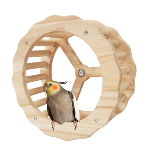Sittich-Trainingsrad, Vogel-Rennräder, Holzvogel-Spielzeug-Rad, Kauschnabel-Übungsräder für Lovebird Nymphensittiche Sittiche Sittiche von Vmiorzq