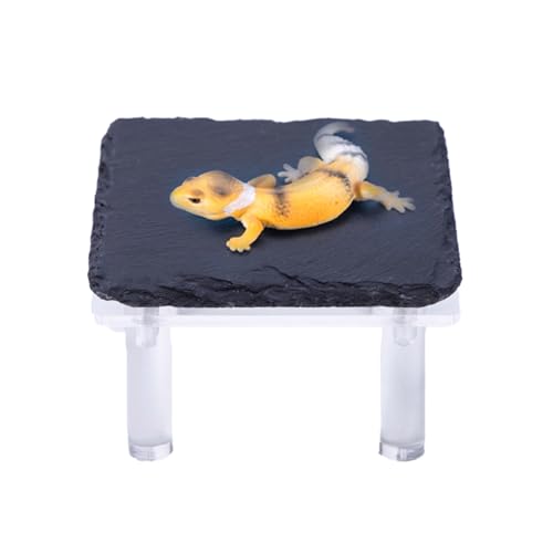 Vmiorzq Schildkröten Sonnenfelsen | Versteckplatz Für Bartagamen Mit Acrylhalterung,Terrarium Zubehör Für Kletter- Und Sonnenbereich In Feuchtigkeitszonen Vmiorzq Schildkröten Sonnenfelsen | Versteckplatz Für Bartagamen Mit Acrylhalterung,Terrarium Zubehör Für Kletter- Und Sonnenbereich In Feuchtigkeitszonen von Vmiorzq