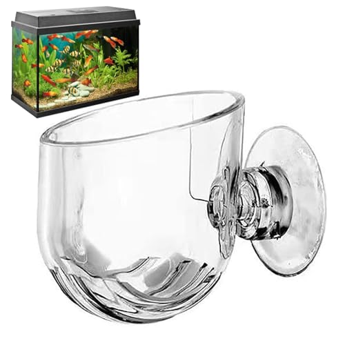 Wasserpflanzen-Blumentopf, Acryl, kleine Wasserpflanze, Aquarium-Töpfe, Wasserpflanzentopf, Tassenständer, elegante Dekoration, Werkzeug, Salzwasser, Süßwasser-Aquarium Wasserpflanzen-Blumentopf, Acryl, kleine Wasserpflanze, Aquarium-Töpfe, Wasserpflanzentopf, Tassenständer, elegante Dekoration, Werkzeug, Salzwasser, Süßwasser-Aquarium von Vmiorzq