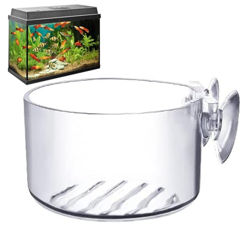 Wasserpflanzen-Blumentopf, Acryl, kleine Wasserpflanze, Aquarium-Töpfe, Wasserpflanzentopf, Tassenständer, elegante Dekoration, Werkzeug, Salzwasser, Süßwasser-Aquarium Wasserpflanzen-Blumentopf, Acryl, kleine Wasserpflanze, Aquarium-Töpfe, Wasserpflanzentopf, Tassenständer, elegante Dekoration, Werkzeug, Salzwasser, Süßwasser-Aquarium von Vmiorzq