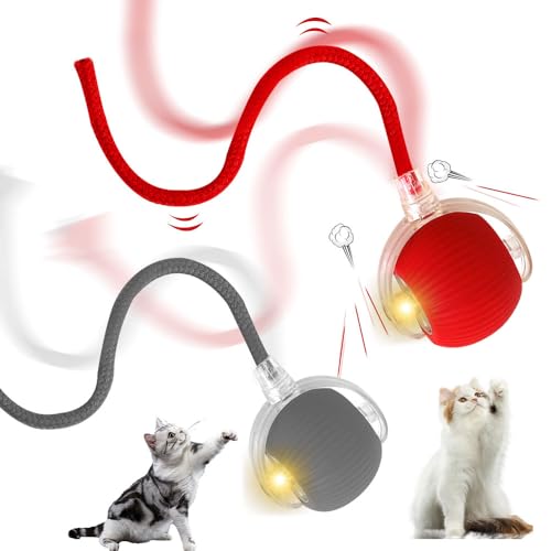 Vmxlso 2 Stück Interaktives Katzenspielzeug Ball, Katzenball Elektrisch, 360° Rolling Katzenspielzeug Elektrisch Ball, 3 Modi, Aufladbar, Automatisch spielball für Katzen mit Schnur, Rot + Grau von Vmxlso