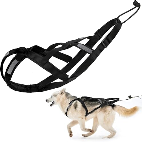 Hundegeschirr zum Ziehen, X-Rücken-Mushing-Husky-Geschirr für Haustierübungen, Gewichtszieh-Schlittengeschirr, Radfahren, Skifahren, Laufen, Canicross-Scootern (L) von Vnnigmn