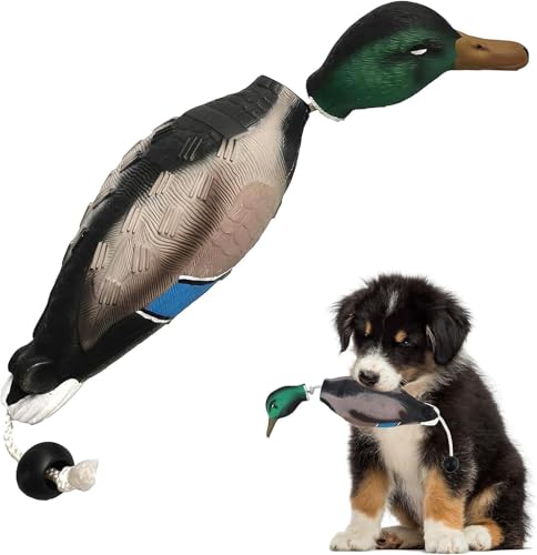 Vnnigmn Enten-Dummy-Spielzeug, interaktives Spielzeug für Hunde, Vogelschnuller, Stockente, imitiert Ente, Stoßstangen-Spielzeug für Welpen oder erwachsene Jagdhunde Vnnigmn Enten-Dummy-Spielzeug, interaktives Spielzeug für Hunde, Vogelschnuller, Stockente, imitiert Ente, Stoßstangen-Spielzeug für Welpen oder erwachsene Jagdhunde von Vnnigmn