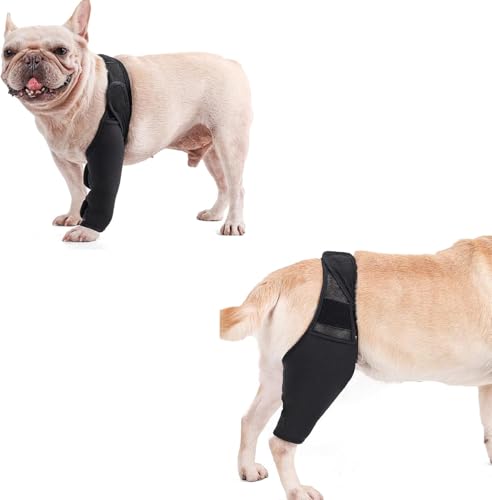 Vnnigmn Hunde-Kniebandage für zerrissene Beine, Schutz für kleine, mittelgroße und große Hunde, Vorder- und Hinterbeine, reduziert Schmerzen und Entzündungen, Größe S Vnnigmn Hunde-Kniebandage für zerrissene Beine, Schutz für kleine, mittelgroße und große Hunde, Vorder- und Hinterbeine, reduziert Schmerzen und Entzündungen, Größe S von Vnnigmn