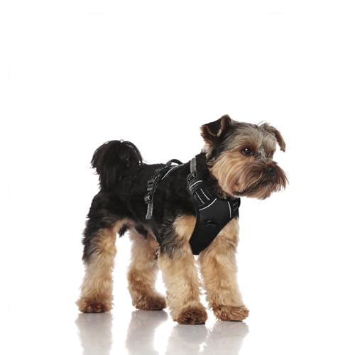 Hundegeschirr, für große Hunde, kein Ziehen, Haustiergeschirr mit 2 Leinenclips, Frontclip, verstellbar, mit reflektierenden Streifen, einfache Kontrolle, Griff für Training oder Spazierengehen, Hundegeschirr, für große Hunde, kein Ziehen, Haustiergeschirr mit 2 Leinenclips, Frontclip, verstellbar, mit reflektierenden Streifen, einfache Kontrolle, Griff für Training oder Spazierengehen, von Vnvnvnv