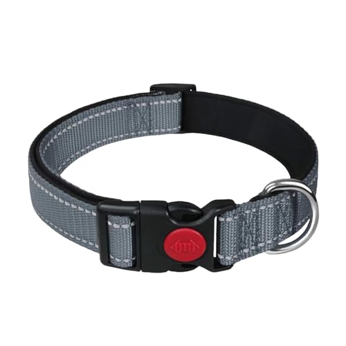 Reflektierendes Hundehalsband mit Neoprenpolsterung innen, verstellbares Hundehalsband mit Sicherheitsverriegelung Hundehalsband für Welpen, kleine Hunde, mittelgroße Hunde, große Hunde (Grau, M) von Vnvnvnv