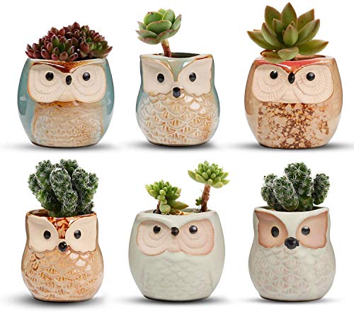 Set mit 6 Keramik-Blumentöpfen mit Eule – Bonsai-Töpfe mit perfektem Loch – Geschenkidee von Voarge
