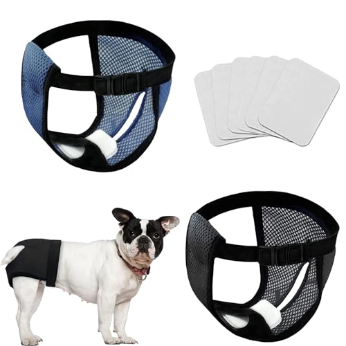 Voarge 2 Pack Unterhosen für Hunde,Wiederverwendbare Hundewindeln mit 6 Hygienepad,Warm, Menstruation, Waschbar, Windel, Schutz für Hunde,Schwarz und Blau (L) von Voarge