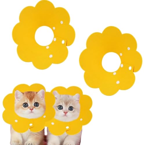 Voarge 2 Stücke Halskrause Katze, Einstellbarer Katze Halsband Elisabethanischer Kragen Wiederherstellung Halsband Nach Operation und Verletzungen für Welpen, Kleine Hunde und Katzen Gelb, L von Voarge