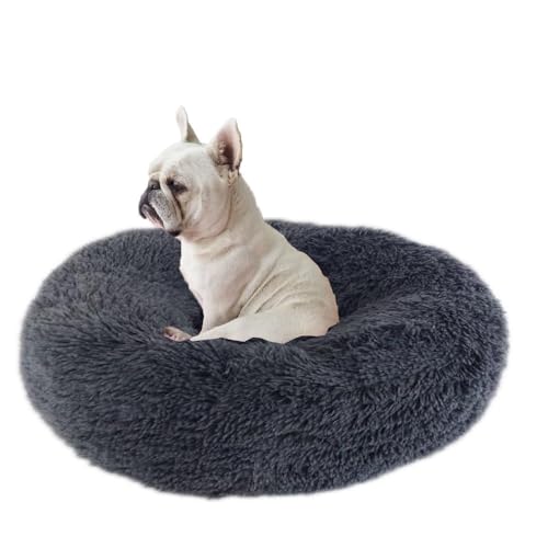 Voarge Hundebett waschbar Flauschiges Katzenbett, Hundebett Flauschig Donut Plüsch Katzenbett Hundekissen, Hundematte, Plüsch Hundekissen, Hundekörbchen für Kleine Mittlere Hunde, Katzen (Dunkelgrau) Voarge Hundebett waschbar Flauschiges Katzenbett, Hundebett Flauschig Donut Plüsch Katzenbett Hundekissen, Hundematte, Plüsch Hundekissen, Hundekörbchen für Kleine Mittlere Hunde, Katzen (Dunkelgrau) von Voarge