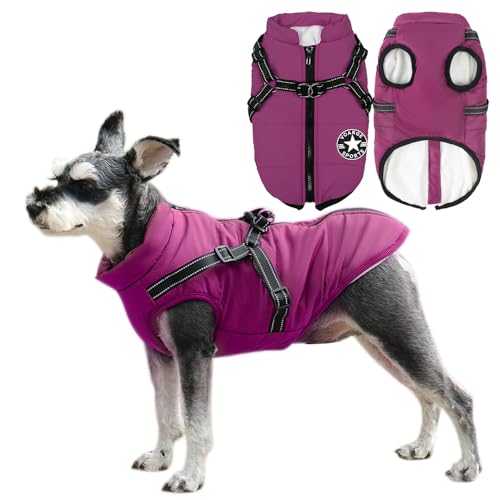 Voarge Hundejacke Winterweste Jacken, Hundemantel mit Geschirr für Kleine Hunde Hundemantel Wasserdicht Maschinen Waschbarer Reflektierender Streifen Design Haltbarer D-Ring (3XL, Lila) von Voarge