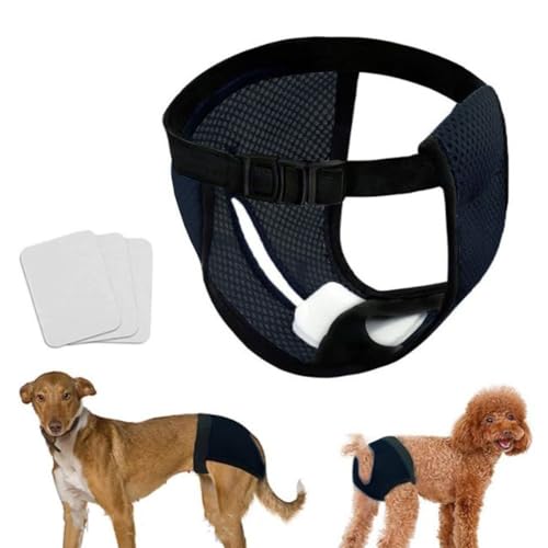 Voarge Hundewindeln, Sanitärhose für Hunde, mit 3 Sanitärtüchern, waschbar, hygienische Höschen für weibliche Hunde, Schwarz L Voarge Hundewindeln, Sanitärhose für Hunde, mit 3 Sanitärtüchern, waschbar, hygienische Höschen für weibliche Hunde, Schwarz L von Voarge