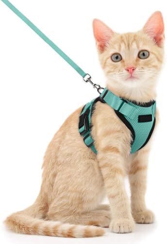 Voarge Katzengeschirr, verstellbar, mit 150 cm Leine, Sicherheits-Katzengeschirr für kleine mittelgroße große Erwachsene Katzen, Welpen, Katzengeschirr für Spaziergänge, Reisen, Hellblau, XS von Voarge