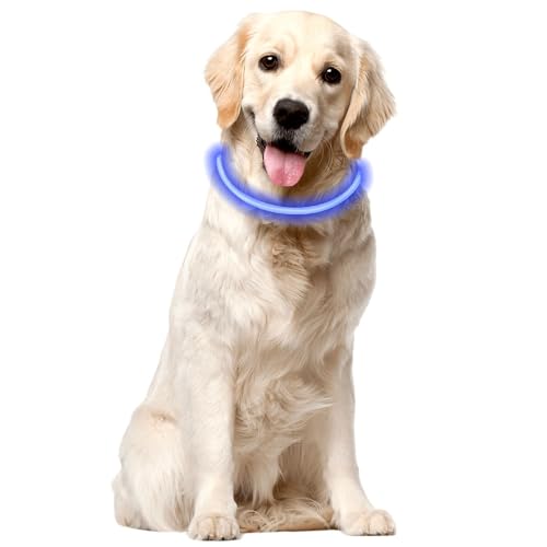 Voarge Leuchthalsband, Leuchthalsband Hund aufladbar, leuchtendes Hundehalsband mit 3 Beleuchtungsmodi, längenverstellbares LED-Halsband für mittlere und große Hunde (blau) von Voarge