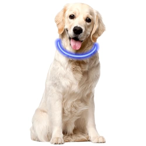 Voarge Leuchthalsband, Leuchthalsband Hund aufladbar, leuchtendes Hundehalsband mit 3 Beleuchtungsmodi, längenverstellbares LED-Halsband für mittlere und große Hunde blau von Voarge