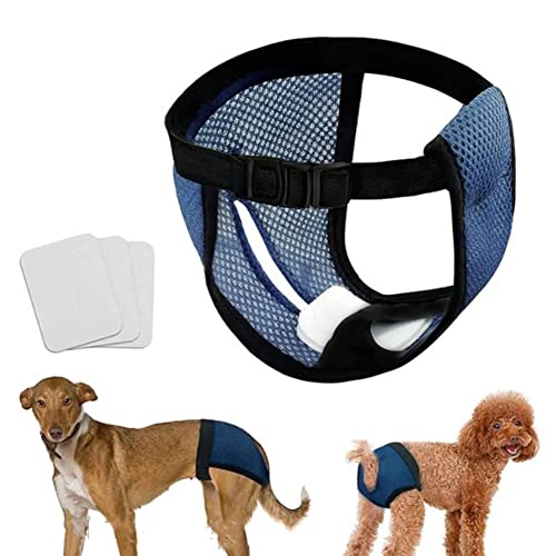 Voarge Windeln für Hunde, Hunde-Sanitärhose mit 3 Handtüchern, waschbar, hygienisch, für Hunde, Blau (Größe M) von Voarge
