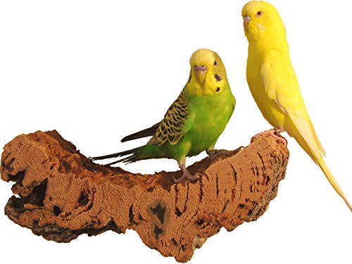 VogelKing Korksitzbrett für Vögel - Größen L (20 x 10 cm + Seil) - 100% Bio Vogelkäfig Zubehör - gesundes Sitzbrett für Wellensittiche, Nymphensittiche, Papageien und co. (L) von VogelKing