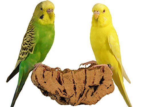 VogelKing Korksitzbrett für Vögel - Größen M (10 x 6 cm)- 100% Bio Vogelkäfig Zubehör - gesundes Sitzbrett für Wellensittiche, Nymphensittiche, Papageien und co. (M) von VogelKing