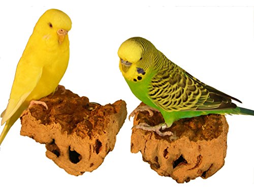Wellensittich-Spielzeug Korksitzbrett quadratisch in den Größen S, M, L (S (je 2er Set 7 x 7 cm)) von VogelKing