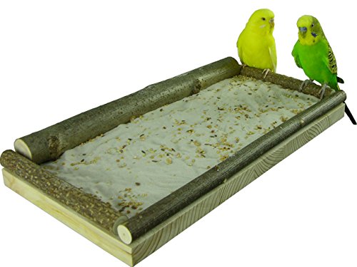 VogelKing Sitzbrett für Vögel Klein - Mittel - Groß | Vogelsitzbrett für Sand und Futterkörner | Beliebt bei Wellensittichen, Finken, Nymphensittiche, Kleinpapageien UVM. VogelKing Sitzbrett für Vögel Klein - Mittel - Groß | Vogelsitzbrett für Sand und Futterkörner | Beliebt bei Wellensittichen, Finken, Nymphensittiche, Kleinpapageien UVM. von VogelKing