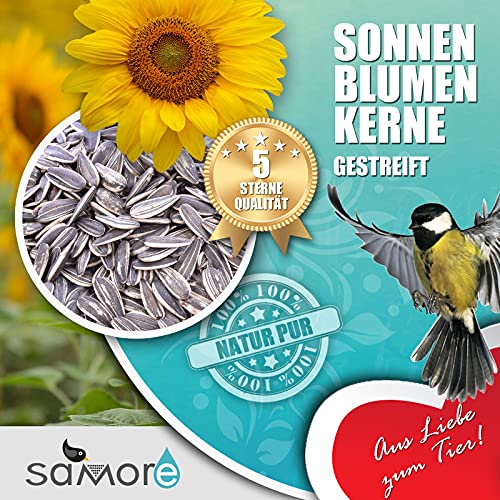 erstklassige Sonnenblumenkerne gestreift Marke Samore von Vogelfood wir sind gut zu Vögeln